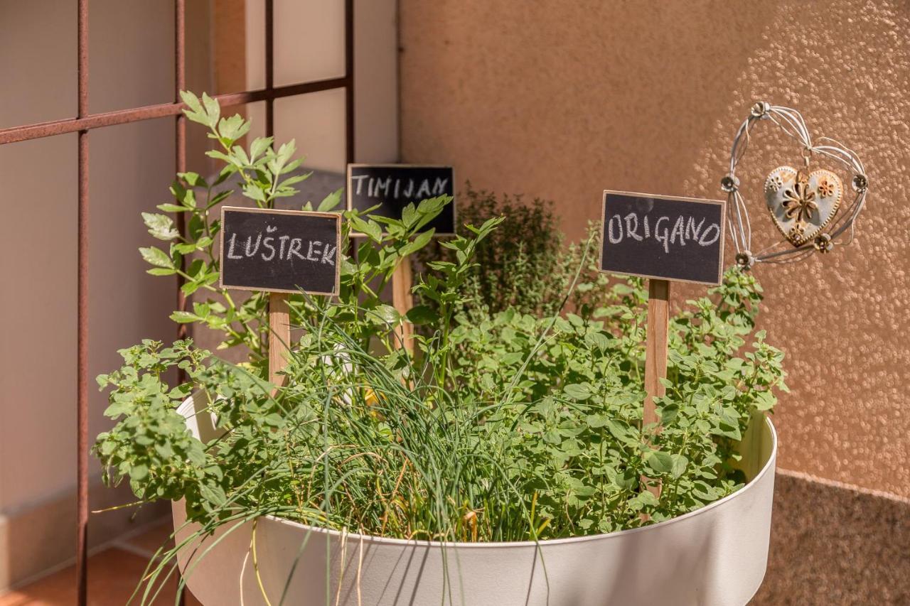 Apartma Summer Garden Bled Eksteriør billede
